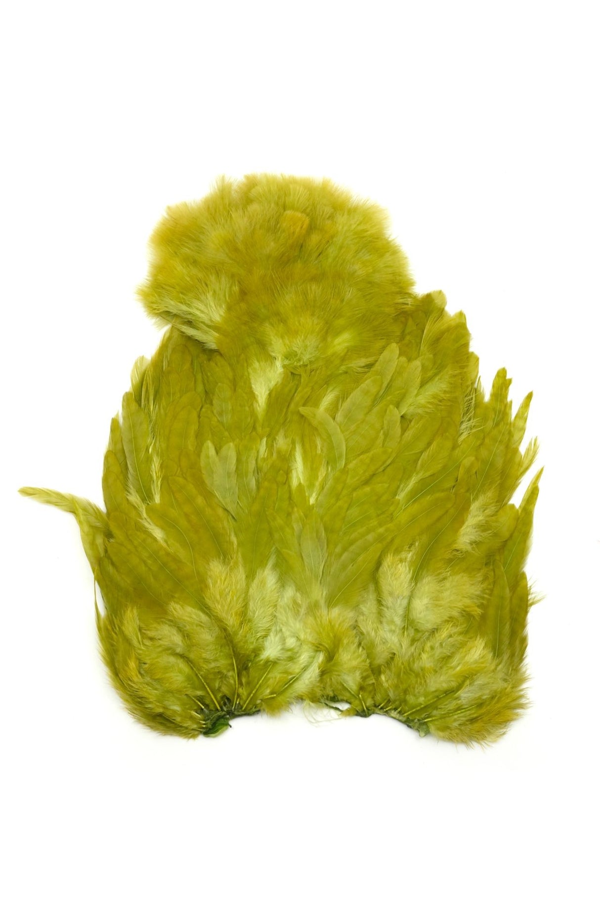 Whiting - Rooster Saddle SH/C