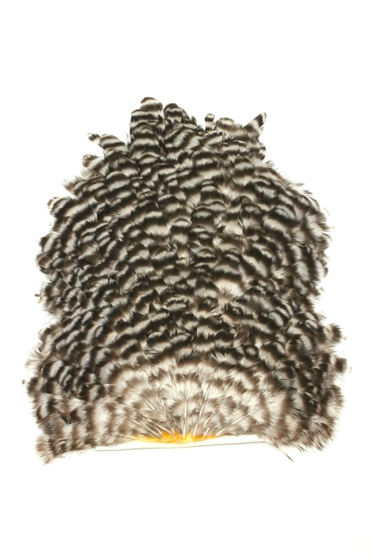 Selle de Poule Whiting 4 B's - Hen Saddle