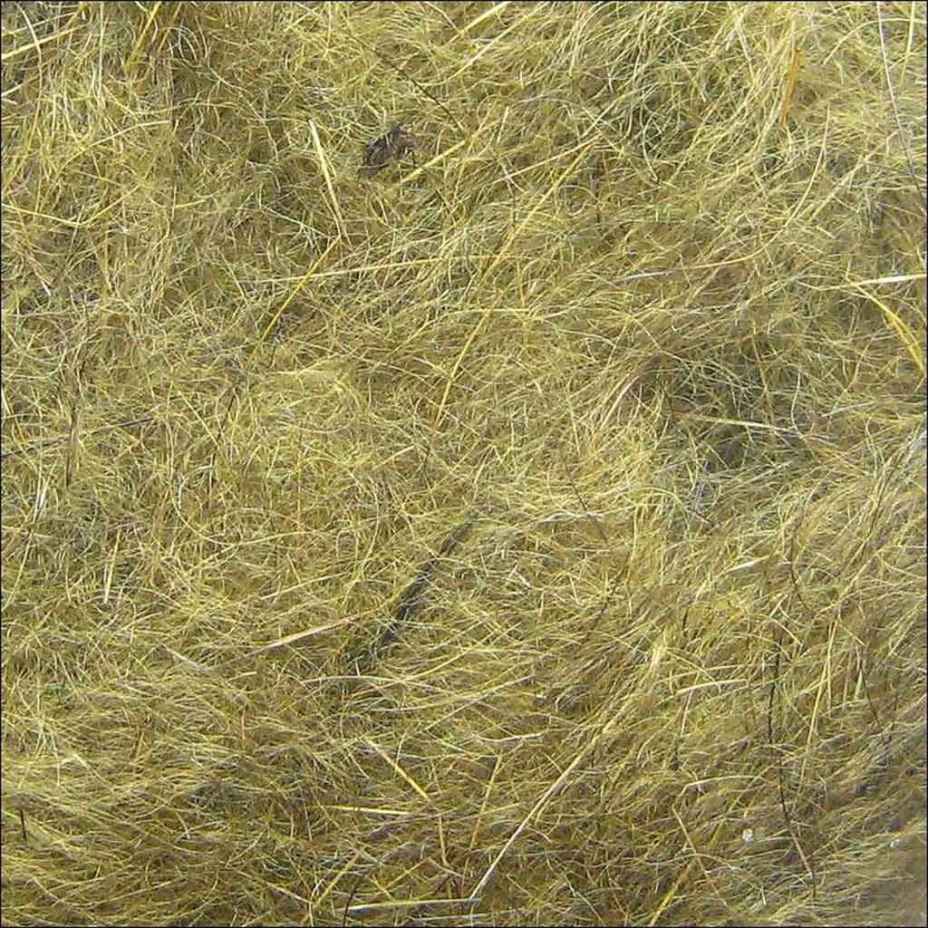 Dubbing de Lièvre Hends