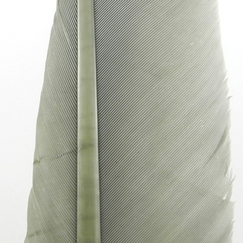 Plume de Dinde Hareline