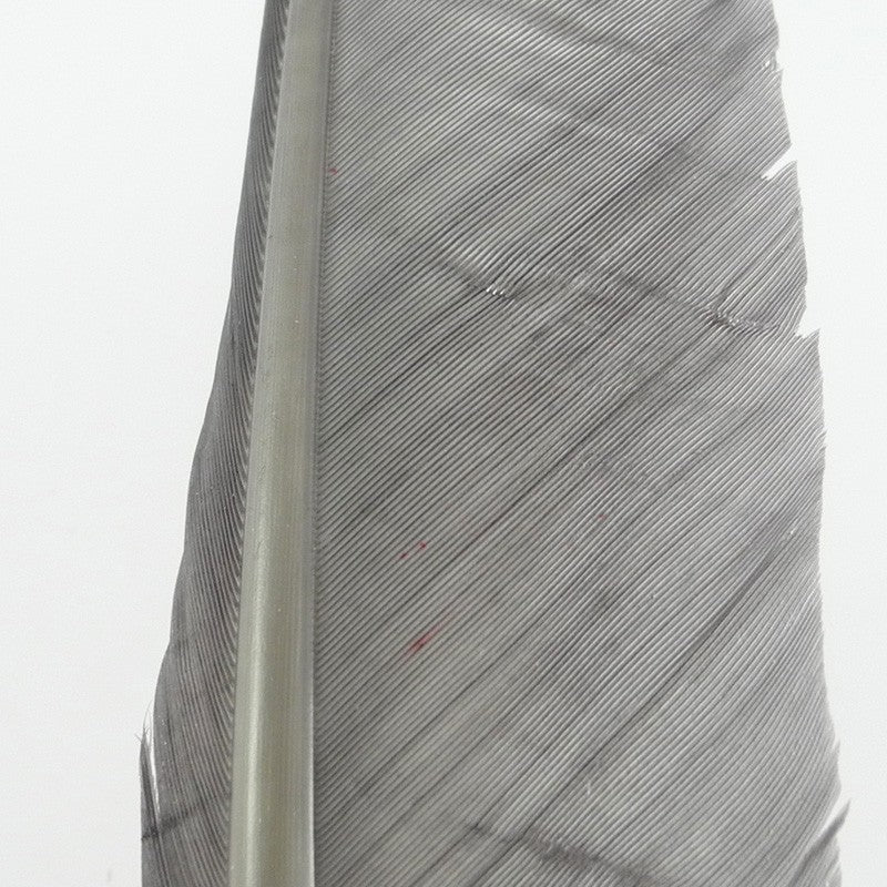 Plume de Dinde Hareline