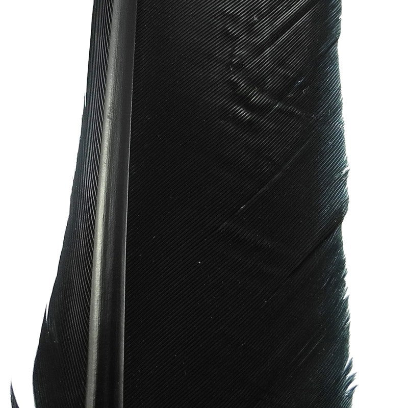 Plume de Dinde Hareline