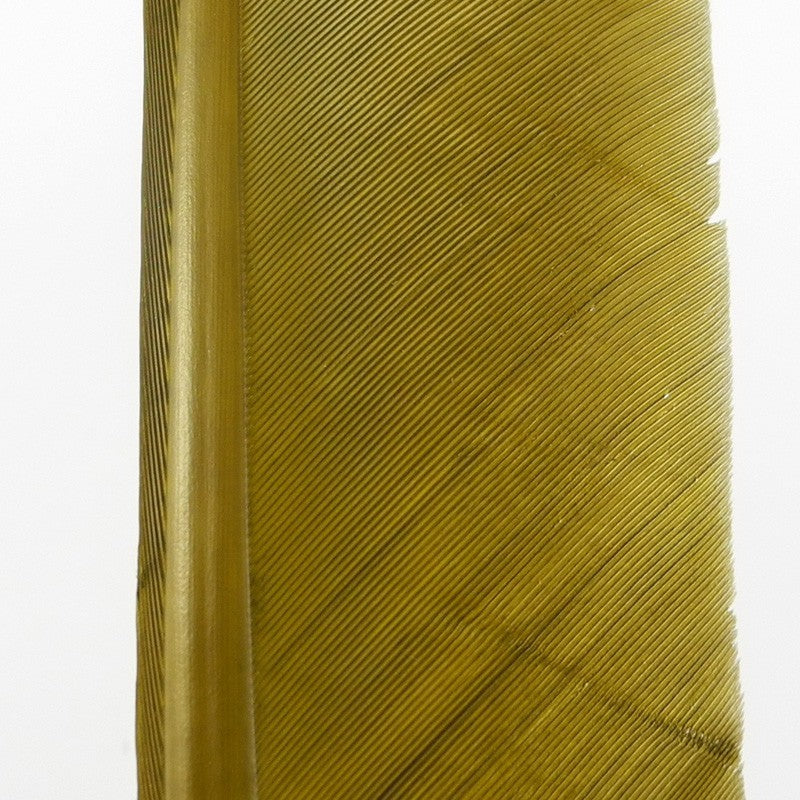 Plume de Dinde Hareline