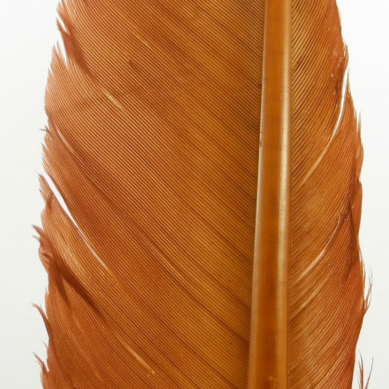 Plume de Dinde Hareline