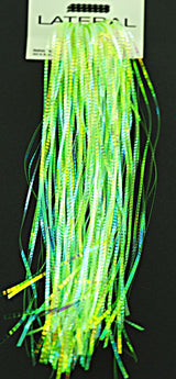 Lateral Scale Hedron