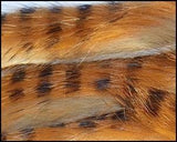 Bandelettes lapin zébrées HARELINE