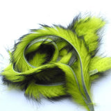 Bandelettes Lapin Two Tone HENDS