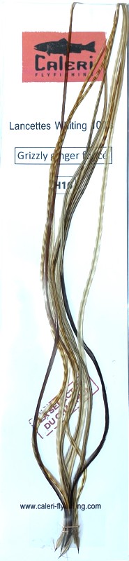 Lancettes Whiting 100'S grizzly ginger foncé