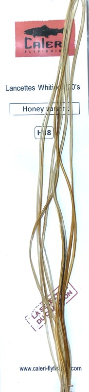 Lancettes Whiting 100'S Honey variant