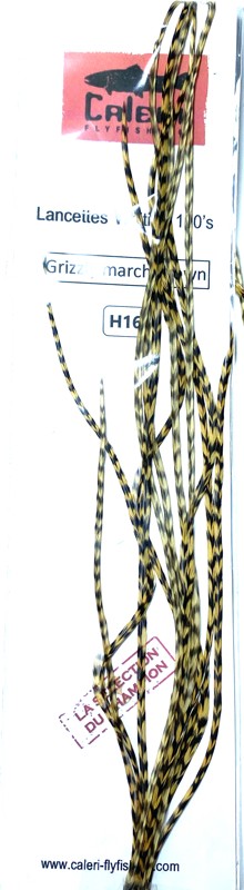 Lancettes Whiting 100'S grizzly March brown