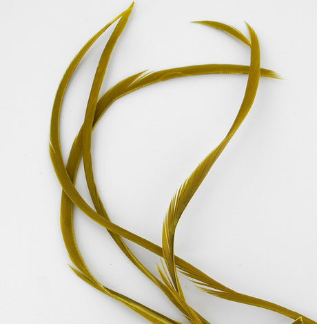 Biots d'oie golden olive Veniard