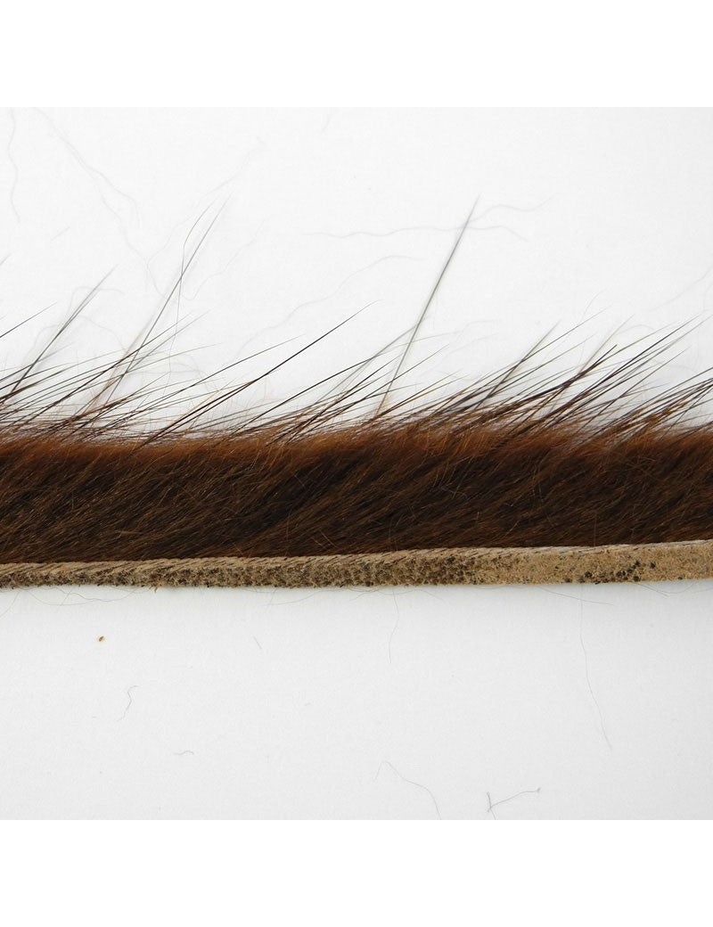 Bandelettes de rat musqué HENDS