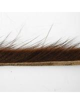 Bandelettes de rat musqué HENDS