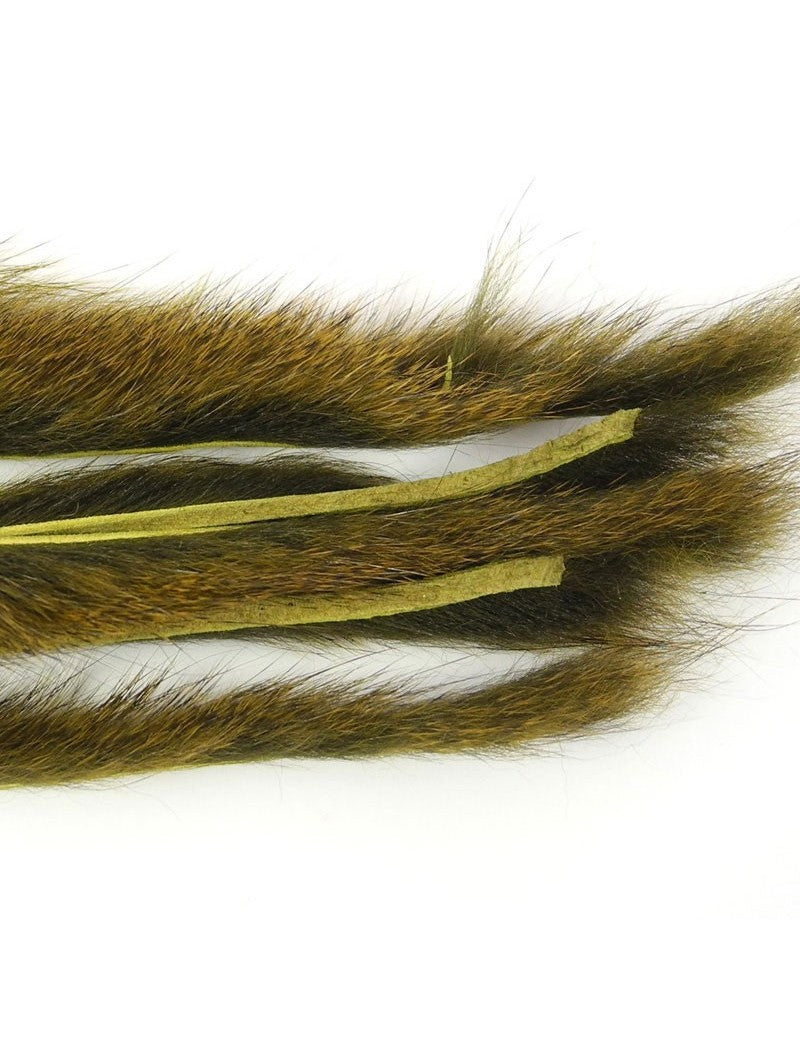 Micro bandelettes d'écureuil CALERI