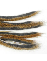 Micro bandelettes d'écureuil CALERI