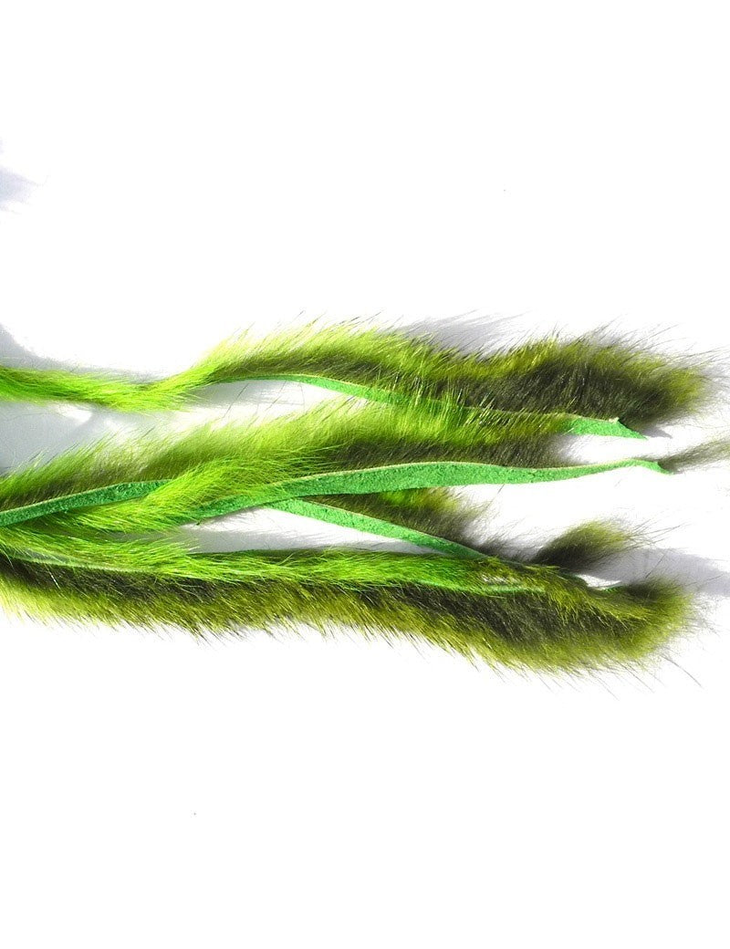 Micro bandelettes d'écureuil CALERI