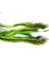 Micro bandelettes d'écureuil CALERI