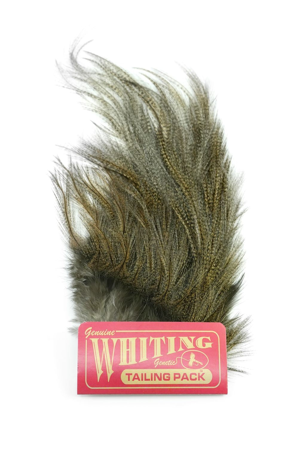 LANCETTES Euro Nymph Pardo foncé Whiting