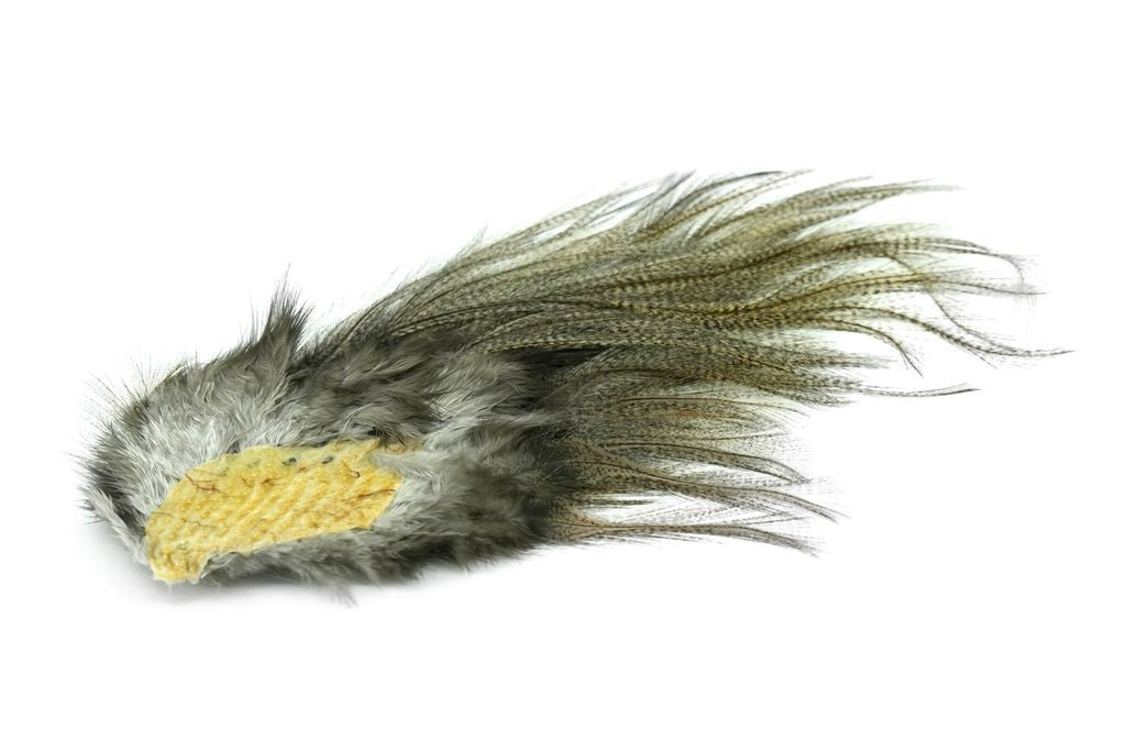 Lancettes whiting CDL Euro Nymph  Pardo