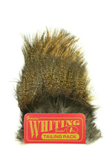Lancettes whiting CDL Euro Nymph  Pardo