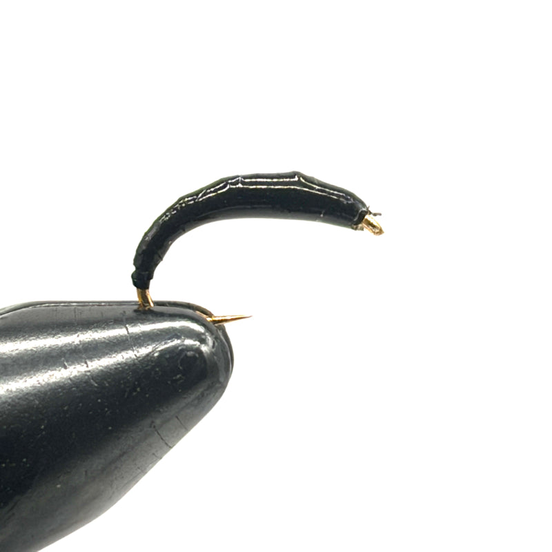 Chironome dodu Noir H14