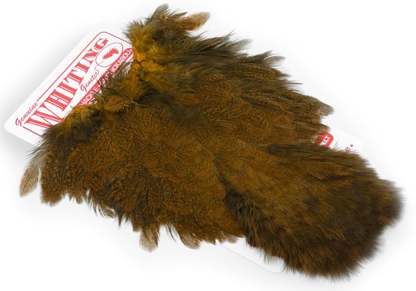 Coq De Leon Hen (poule) SH/C