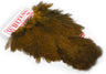 Coq De Leon Hen (poule) SH/C