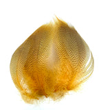 Plumes de flanc de cannard super select-Veniard