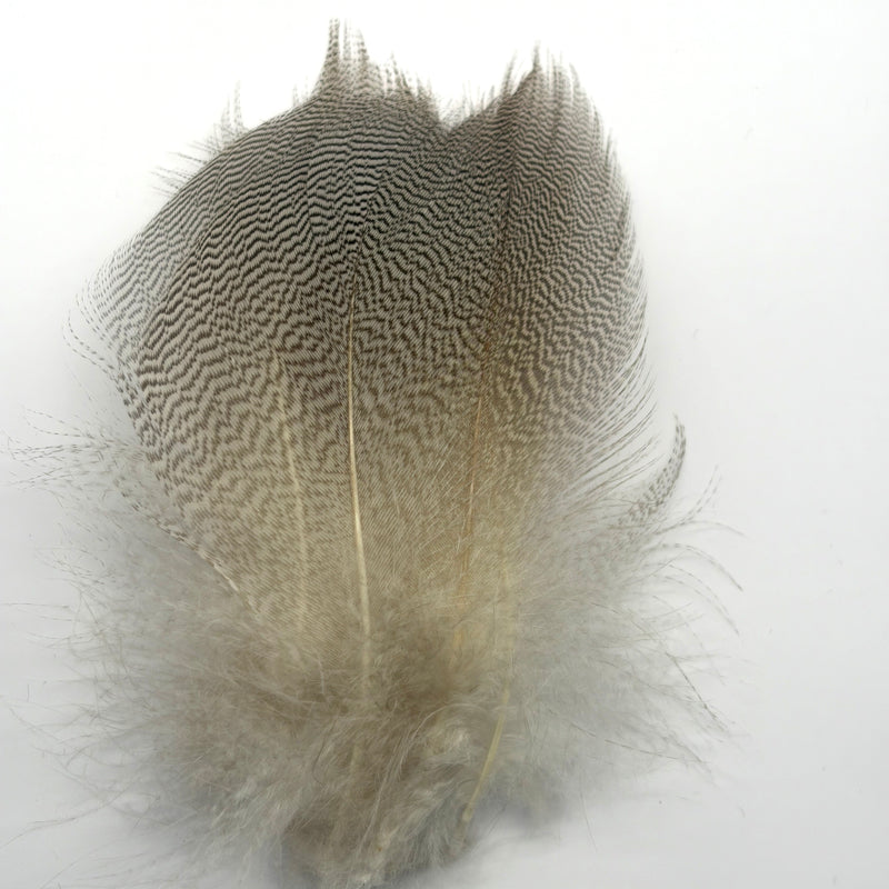 Plumes de flanc de cannard super select-Veniard