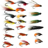 Lot 27 mouches Migrateur