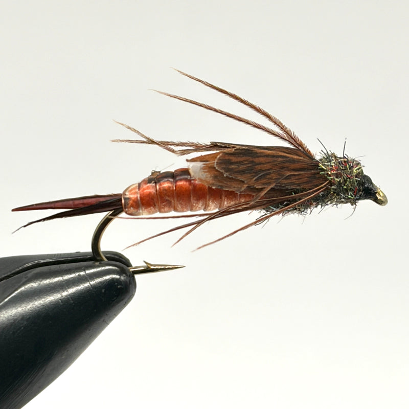 Nymphe Larve de Perle brune body glass