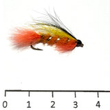 Noyées Orange Migrateurs