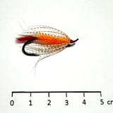 Noyées Colerette Perdrix