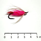 Noyées Colerette Perdrix