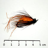 Noyées Volumineuses Migrateurs