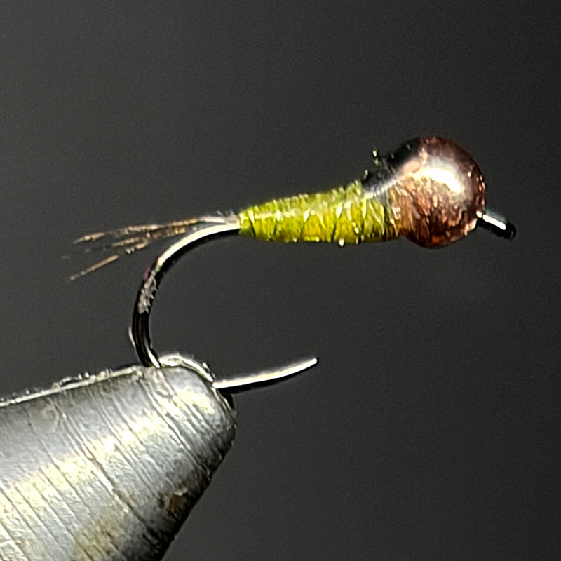 Nymphe tungstène "PERDI OLIVE" CUIVRE