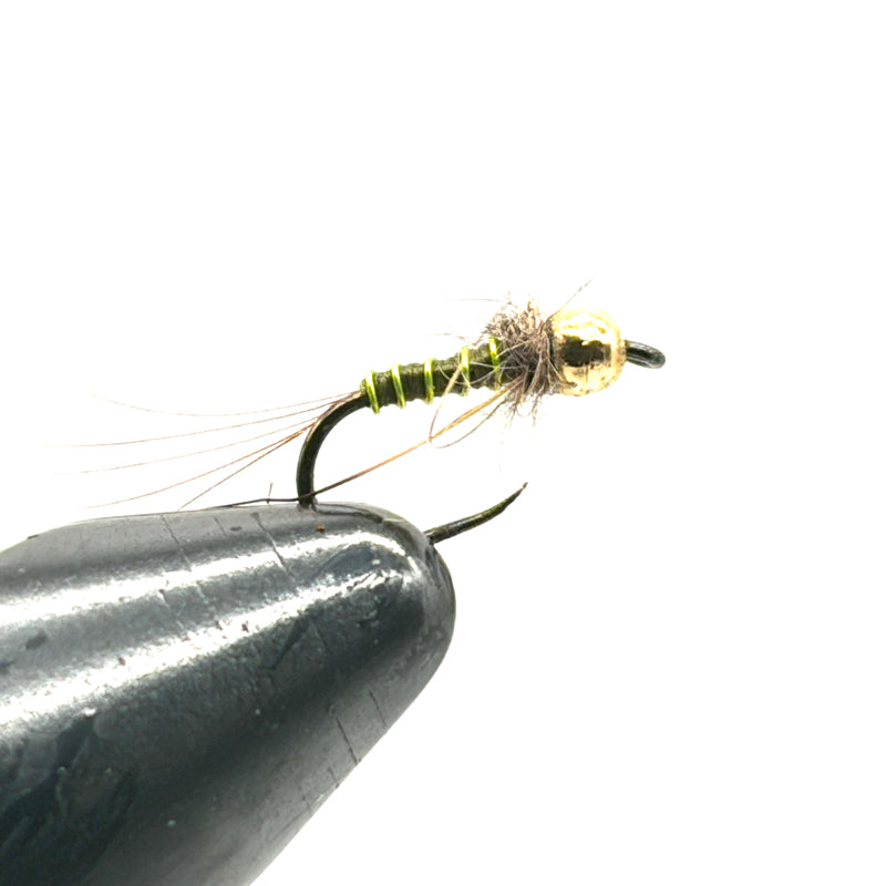 Nymphe Tungstène Olive