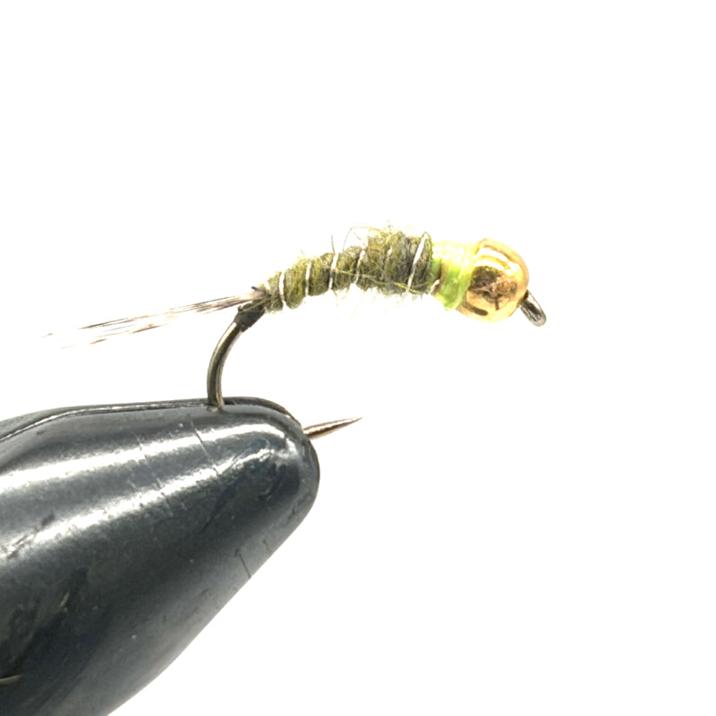 Nymphe Tungstène Tag Chartreuse