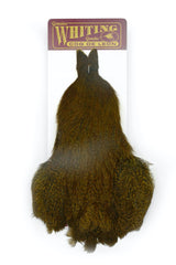 Coq de Leon Whiting Hen Cape olive cuivre Speckled