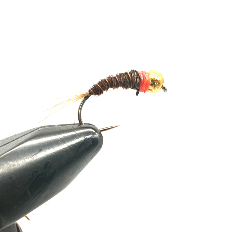 Nymphe Tungstène Faisan Tail Colerette orange