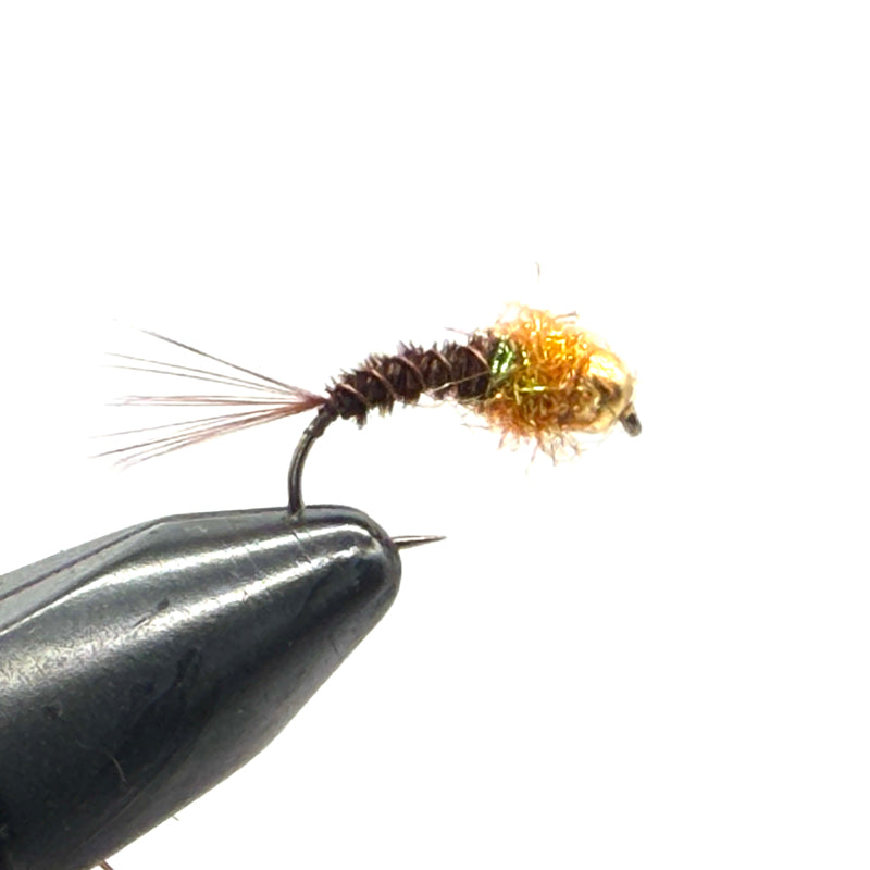 Nymphe Tungstène Faisan Thorax Orange