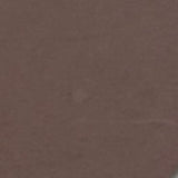 Plaque de Foam Caleri (1mm)