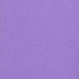 Plaque de Foam Caleri (1mm)