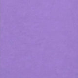 Plaque de Foam Caleri (1mm)