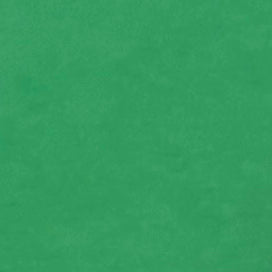 Plaque de Foam Caleri (1mm)