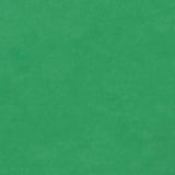 Plaque de Foam Caleri (1mm)