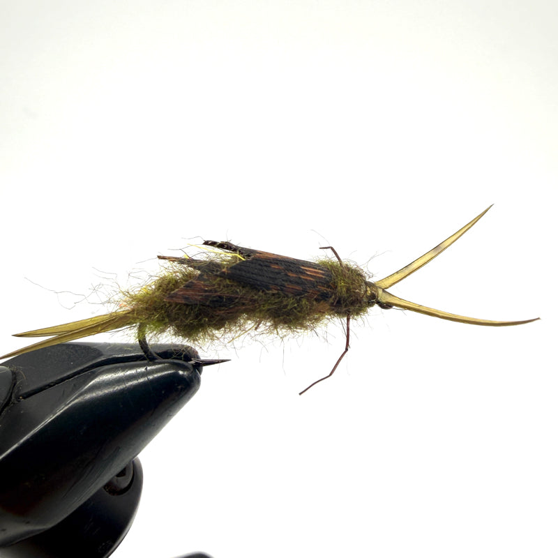 Nymphe Larve de Perle olive double bille laiton