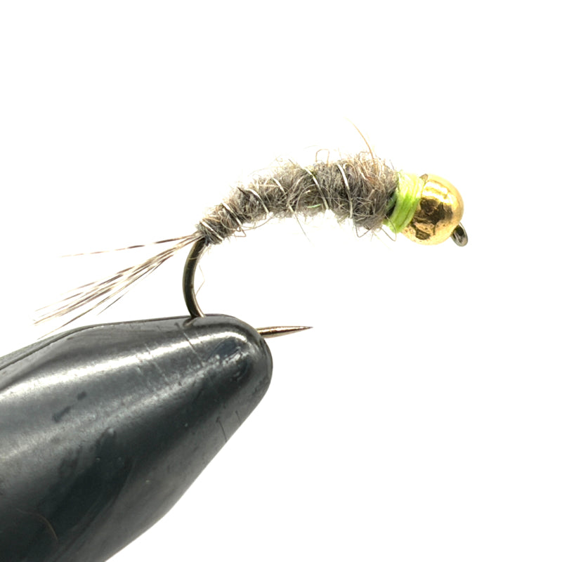 Nymphe Tungstène Tag Chartreuse