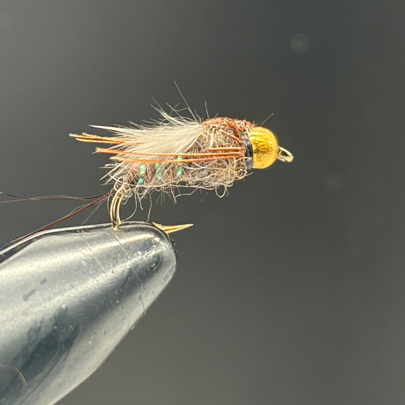 Nymphe Tungstène Sac Alaire