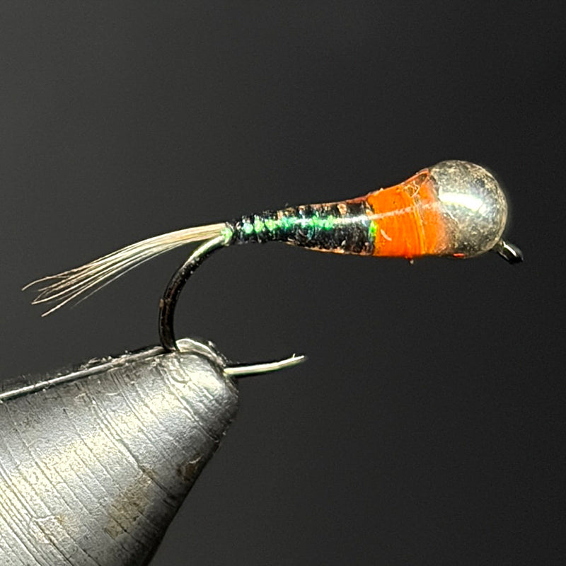 Nymphe tungstène "peacock" argent